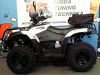 Motorka Linhai Dragon Fly 310 4x4