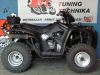 Pioneer QM 250 ATV - 2B
