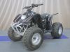 Access DRR 100